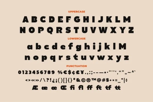 bold display font
