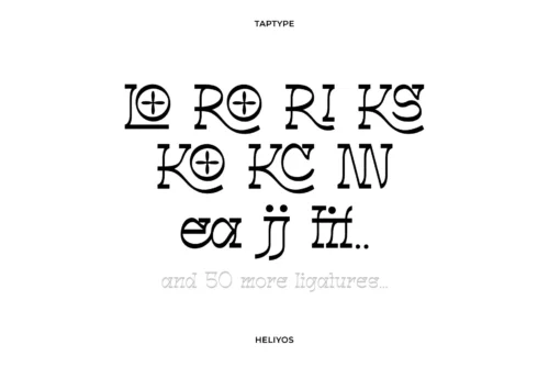 slab serif display font