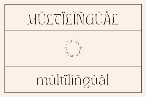 Remove term: serif display ligature font serif display ligature font