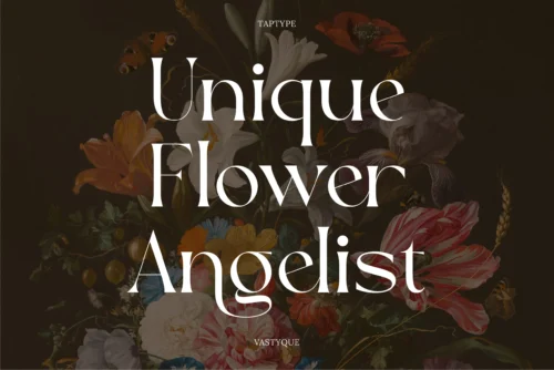 display serif font