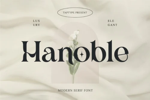 modern ligature serif
