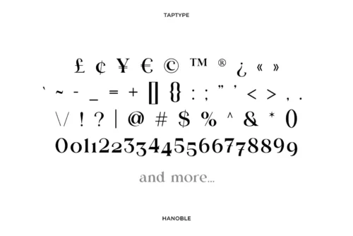 modern ligature serif