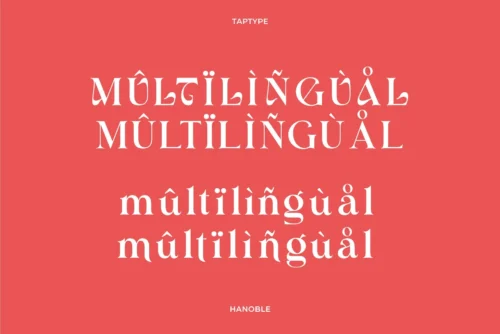 modern ligature serif