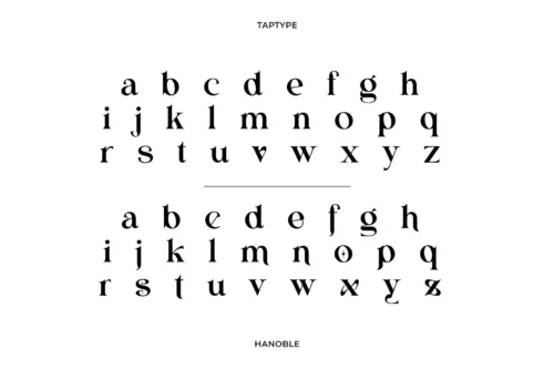 modern ligature serif