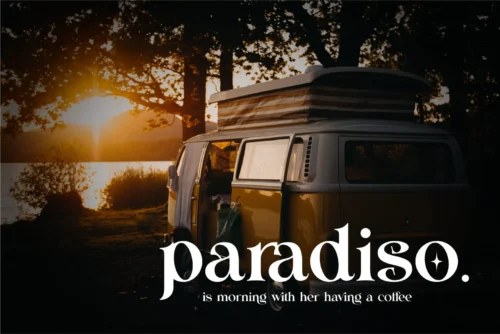 modern ligature serif